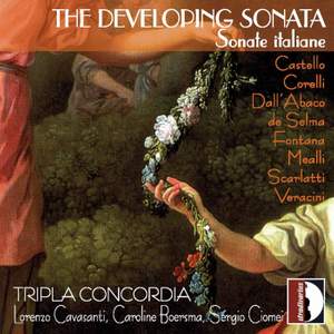 The Developing Sonata