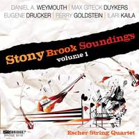 Stony Brook Soundings, Volume 1