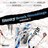 Stony Brook Soundings, Volume 2