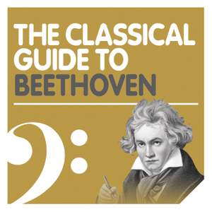 The Beethoven Experience