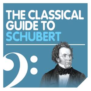 The Schubert Experience