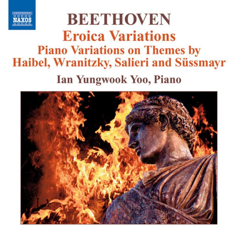 Beethoven: Works for Flute, Vol. 1 - Naxos: 8573569 - CD or