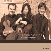 Brahms & Schubert: Piano Trios