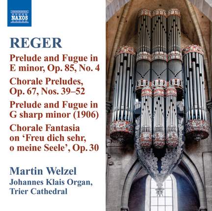 Reger - Organ Works Volume 10
