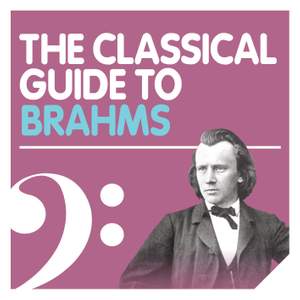 The Brahms Experience