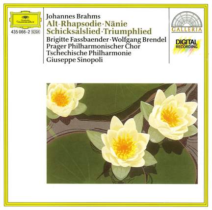 Brahms: Alto Rhapsody