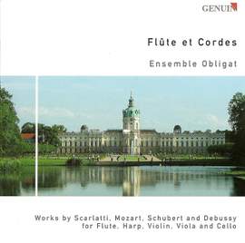 Flute and Strings