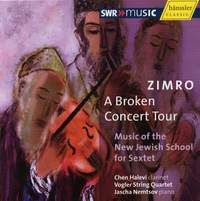 Zimro - A Broken Concert Tour