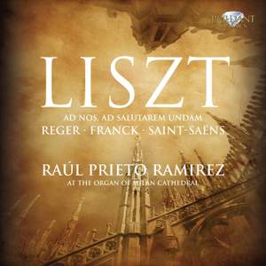 Liszt, Reger, Franck, Saint-Saëns: Organ Works