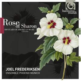Rose of Sharon