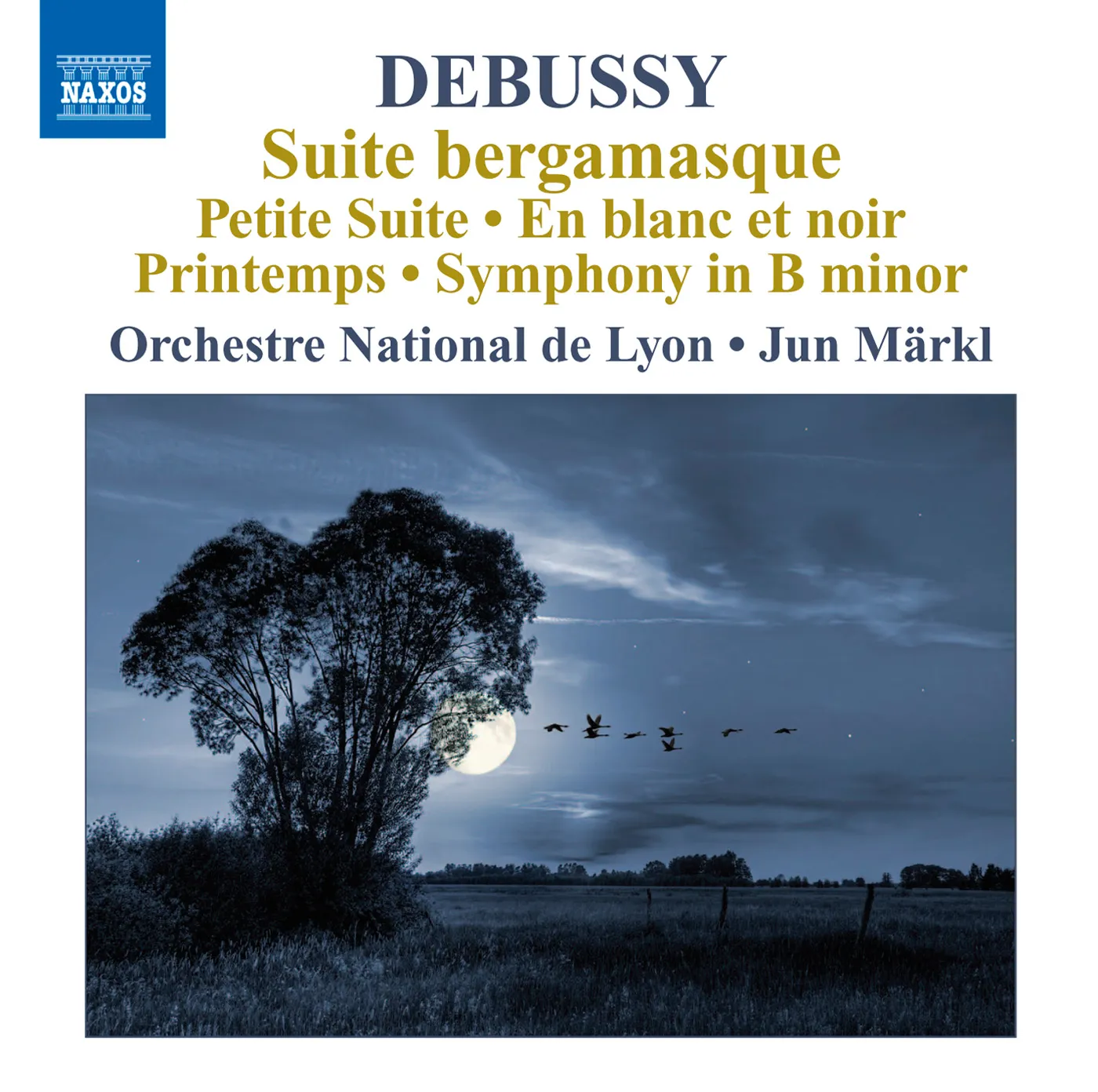 Debussy: Orchestral Works Volume 6 - Naxos: 8572583 - CD or