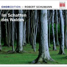 Im Schatten des Waldes