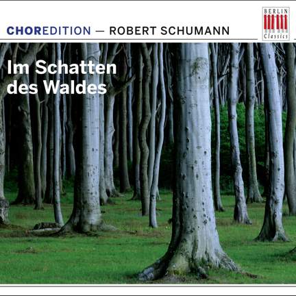 Im Schatten des Waldes