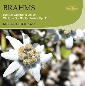 Brahms: Handel Variations, Waltzes & Fantasias