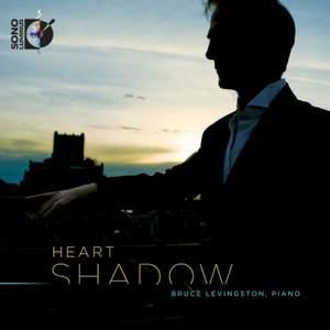 Bruce Levingston: Heart Shadow