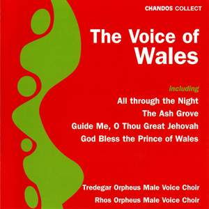 The Voice of Wales