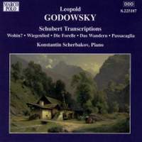 Godowsky - Piano Music Volume 6