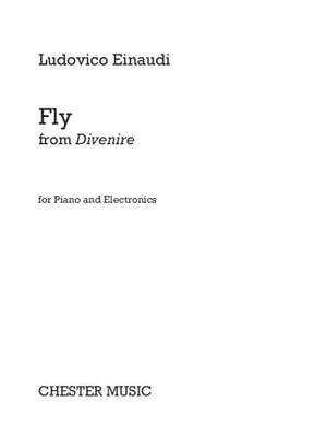 Ludovico Einaudi: Fly