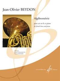 Jean-Olivier Beydon: Algébrométrie