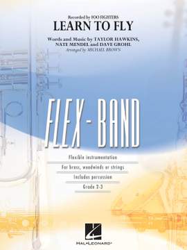 Taylor Hawkins_Nate Mendel_Dave Grohl: Learn to Fly