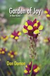 Daniel Damon: Garden of Joy