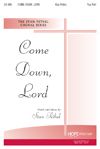 Stan Pethel: Come Down, Lord