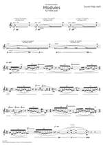 Hefti, David Philip: Modules für Flöte solo Product Image