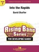 David Shaffer: Into the Rapids
