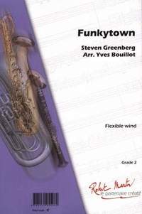 Steven Greenber: Funkytown