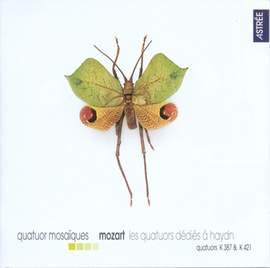 Mozart - The Haydn Quartets