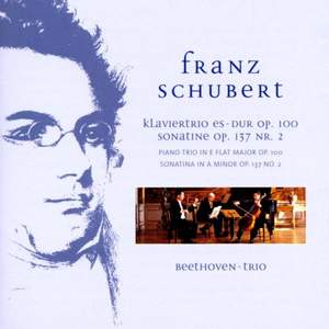 Schubert: Piano Trio No. 2 in E flat major, D929, etc.