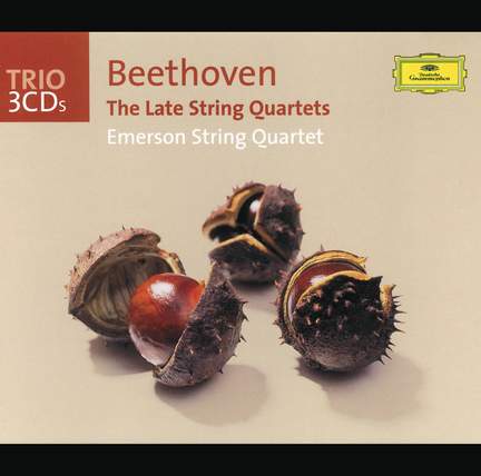 The Late String Quartets
