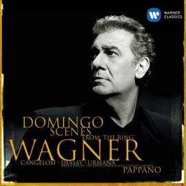 Wagner: Scenes from the Ring