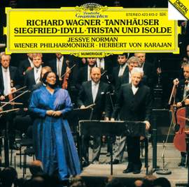 Wagner: Siegfried-Idyll and other orchestral works