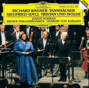 Wagner: Siegfried-Idyll and other orchestral works