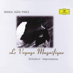 Le Voyage Magnifique