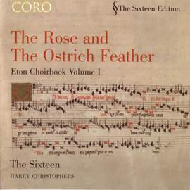 The Rose and the Ostrich Feather