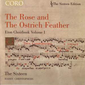 The Rose and the Ostrich Feather