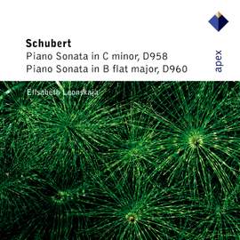 Schubert: Piano Sonatas Nos. 19 & 21