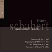 Schubert - Piano Works