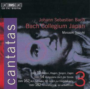 Bach - Cantatas Volume 3