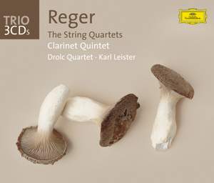 Reger: The String Quartets, etc.