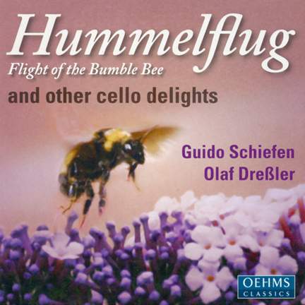 Flight of the Bumble Bee