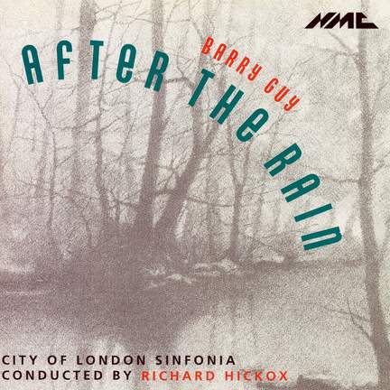 Guy: After the Rain