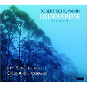 Schumann: Liederkreis