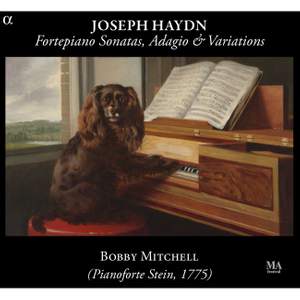 Haydn: Fortepiano Sonatas, Adagio & Variations Product Image