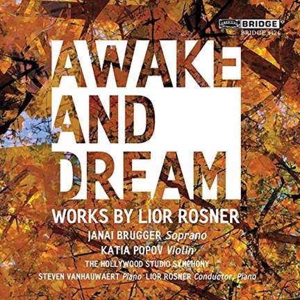 Lior Rosner: Awake and Dream