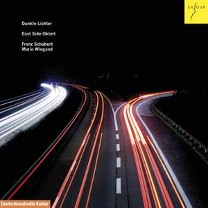 Dunkle Lichter - Octets by Schubert & Wiegand