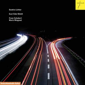Dunkle Lichter - Octets by Schubert & Wiegand