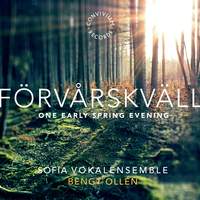 Forvarskvall - One Early Spring Evening